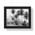 Framed Print - Black & White Tropical Palm Landscape