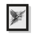 Framed Vertical Print -- Toucan Pencil Drawing