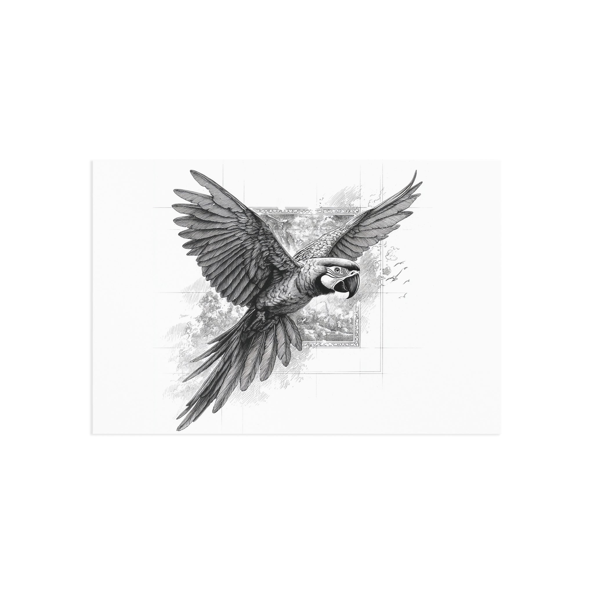 Macaw Fine Art Postcards — Black & White Parrot Illustration Set