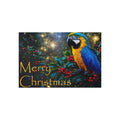 Tropical Christmas Toucan Fine Art Postcards