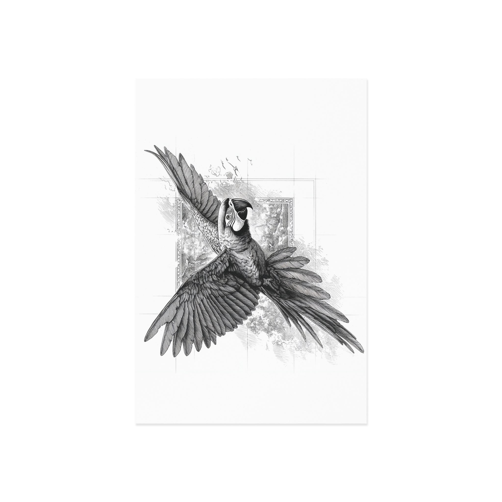 Macaw Fine Art Postcards — Black & White Parrot Illustration Set