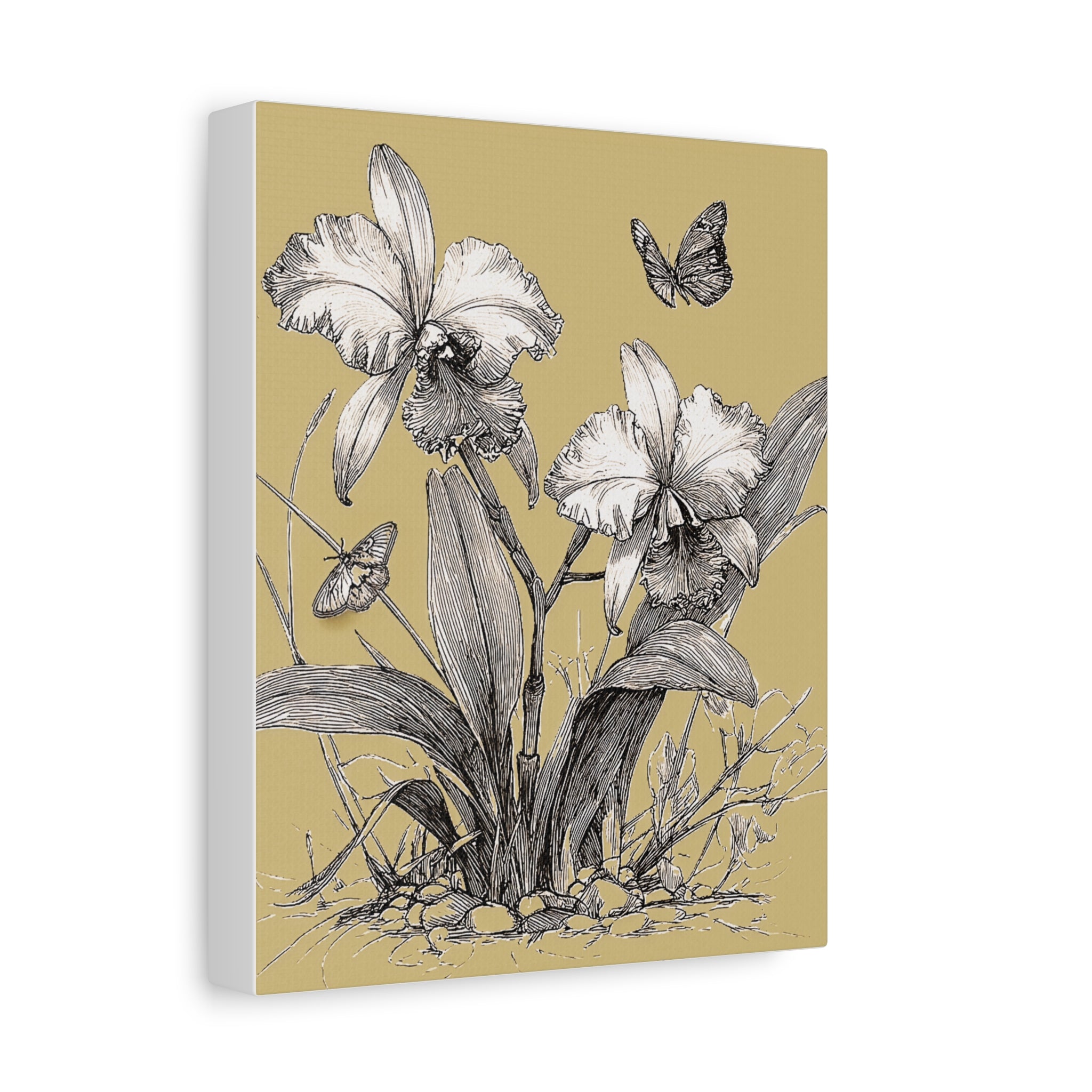 Orchid & Butterfly Botanical Canvas Print — Stretched Matte Wall Art